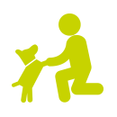 Wash_Dog_dog_sitter
